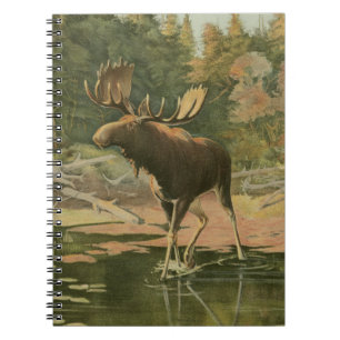Moose Walking in Water Notebook