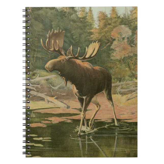 Moose Walking in Water Notebook (Front)