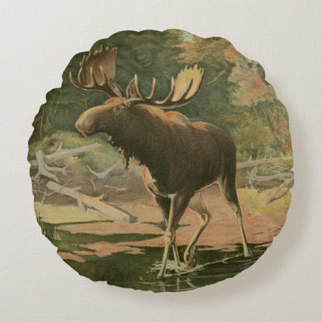 Moose Walking in Water Round Cushion (Front)