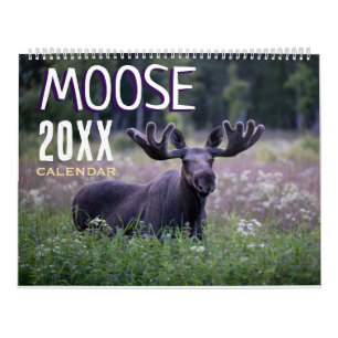 Moose Wall Calendar 2027 Wildlife Animals