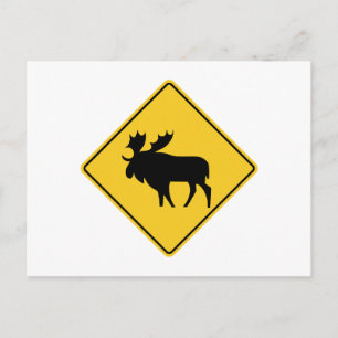 Moose Warning, Road Sign, Canada Postcard