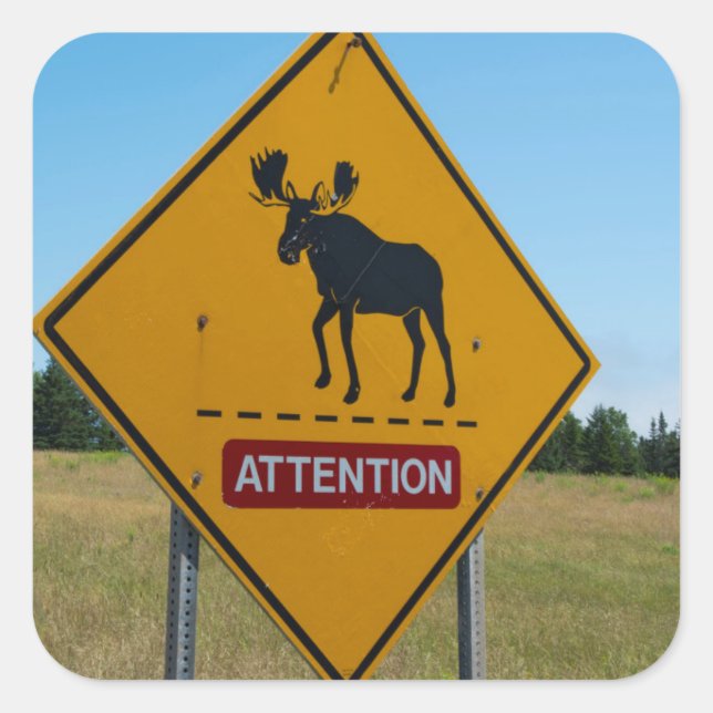 Moose Warning Sign Square Sticker (Front)