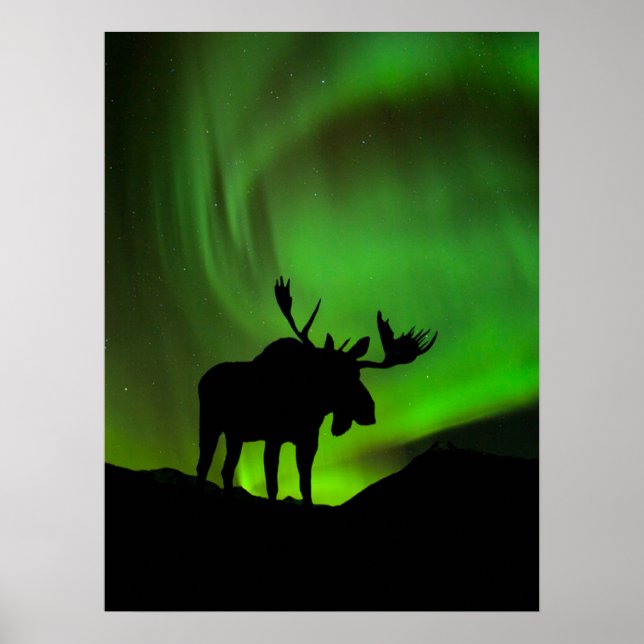 Moose with Green Aurora Borealis, Alaska Poster (Front)