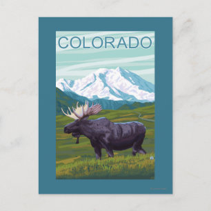 Moose with MountainColorado Postcard