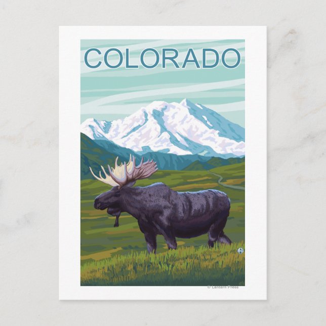 Moose with MountainColorado Postcard (Front)