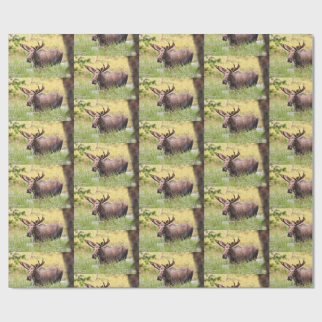 moose wrapping paper (Flat)