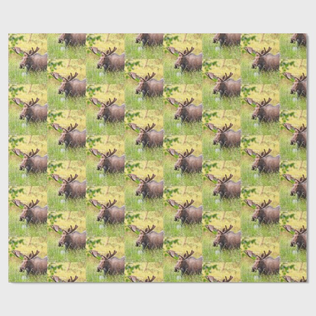 moose wrapping paper (Flat)