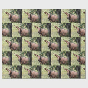 moose wrapping paper