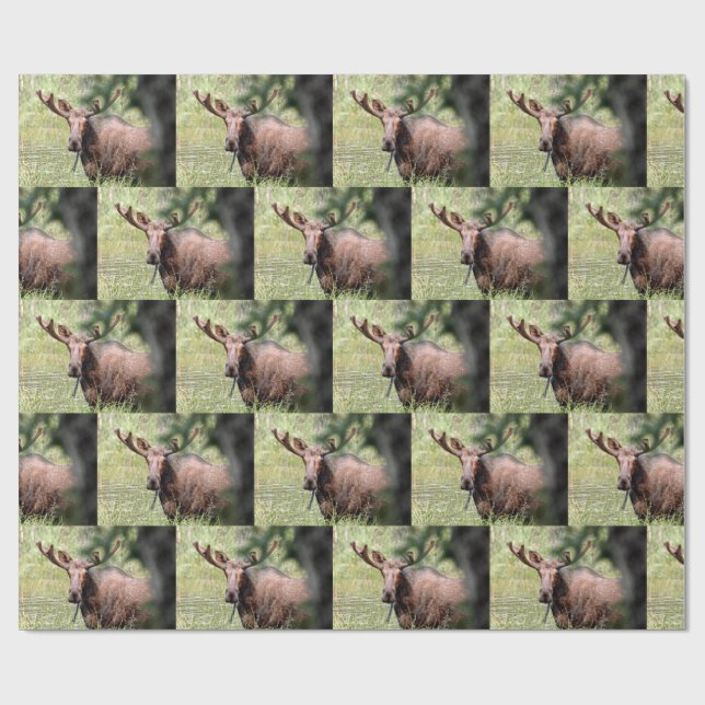 moose wrapping paper (Flat)