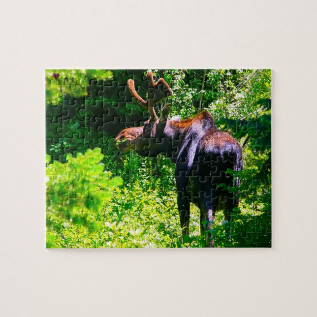 Moose Wyoming Jigsaw Puzzle (Horizontal)