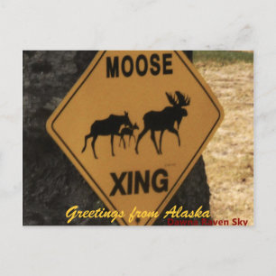 moosecrossing, Greetings from Alaska Postcard