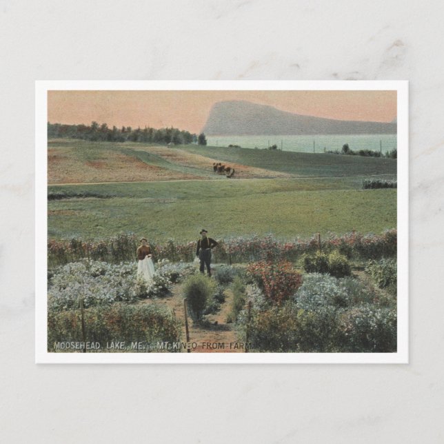 Moosehead Lake ME, Mt Kineo, Farm 1910 Postcard (Front)