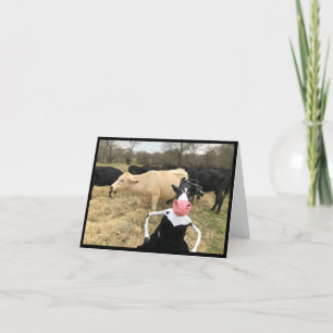 Mootilda says "HAY!" Card