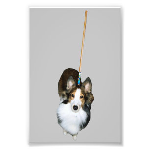 Mop Dog Photo Print