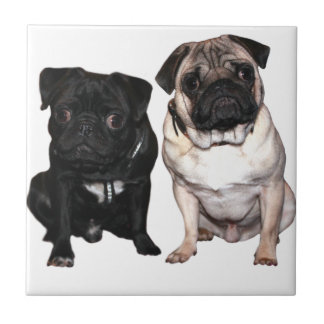 Mops Jack and Richi Tile