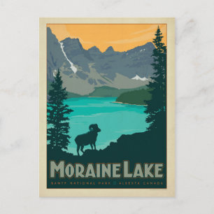 Moraine Lake, Alberta Canada Postcard