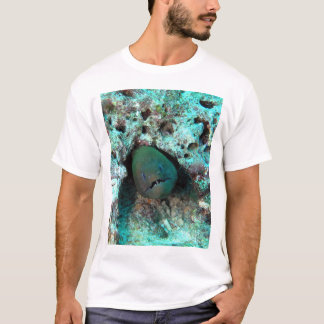 Moray eel in Fiji T-Shirt