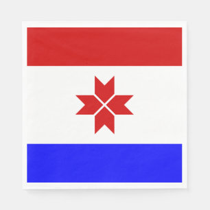Mordovia Flag Napkin