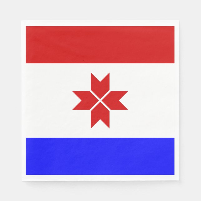 Mordovia Flag Napkin (Front)