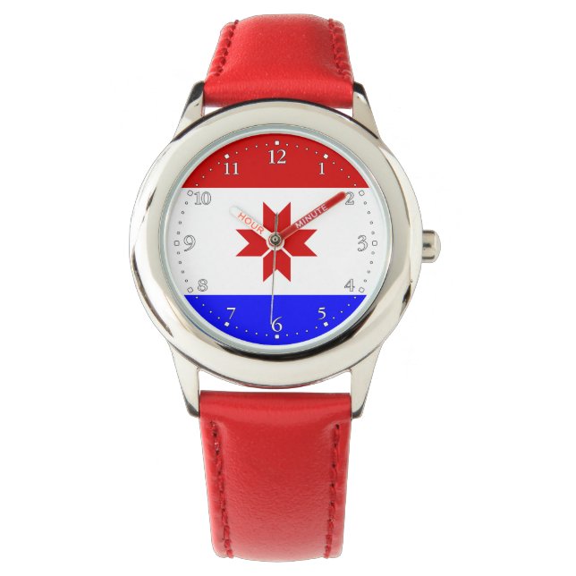 Mordovia Flag Watch (Front)