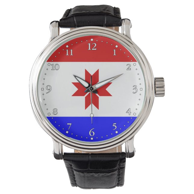 Mordovia Flag Watch (Front)