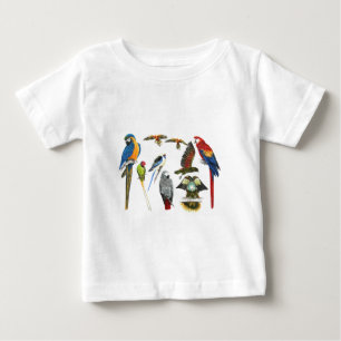 more and more Parrots for all your gifts Baby T-Shirt