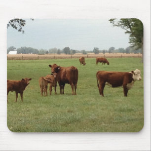 more brown cows mouse mat