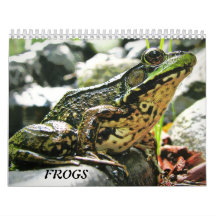 More FROGS!