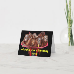 More Fun than a Barrel of Monkeys Birthday Card