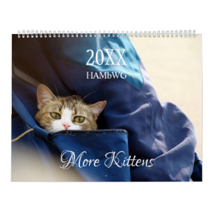 More Kittens Wall Calendar - HAMbyWG