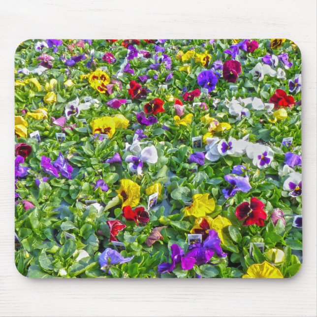 More Pansies Mouse Mat (Front)