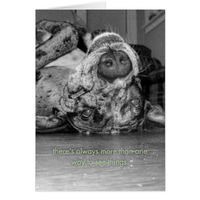 More Than One Way (Front)