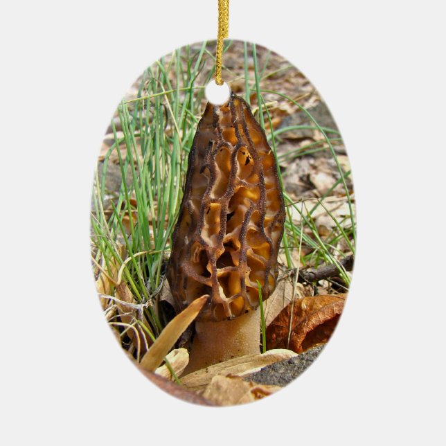 Morel Mushroom Ceramic Tree Decoration (Front)