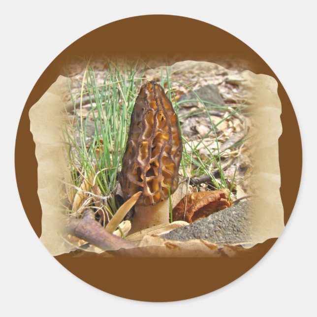 Morel Mushroom Classic Round Sticker (Front)