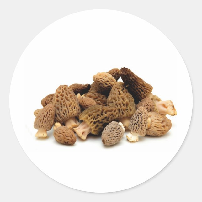 Morel Mushroom Classic Round Sticker (Front)