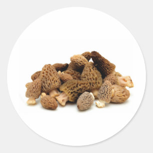 Morel Mushroom Classic Round Sticker