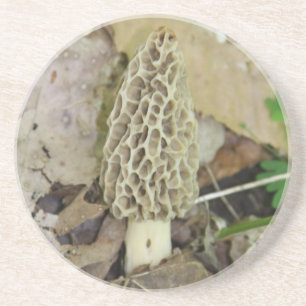 Morel Mushroom Coaster