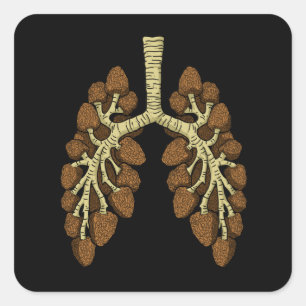 Morel Mushroom Gift Mens Morel Mushroom Hunter Square Sticker