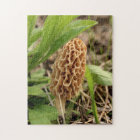 Morel Mushroom