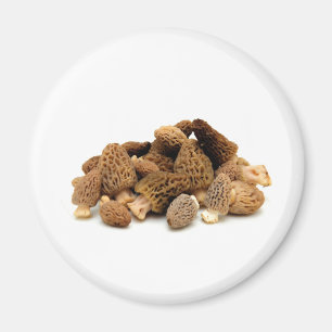 Morel Mushroom Magnet