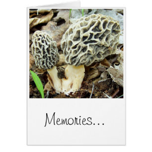 Morel Mushroom Memories