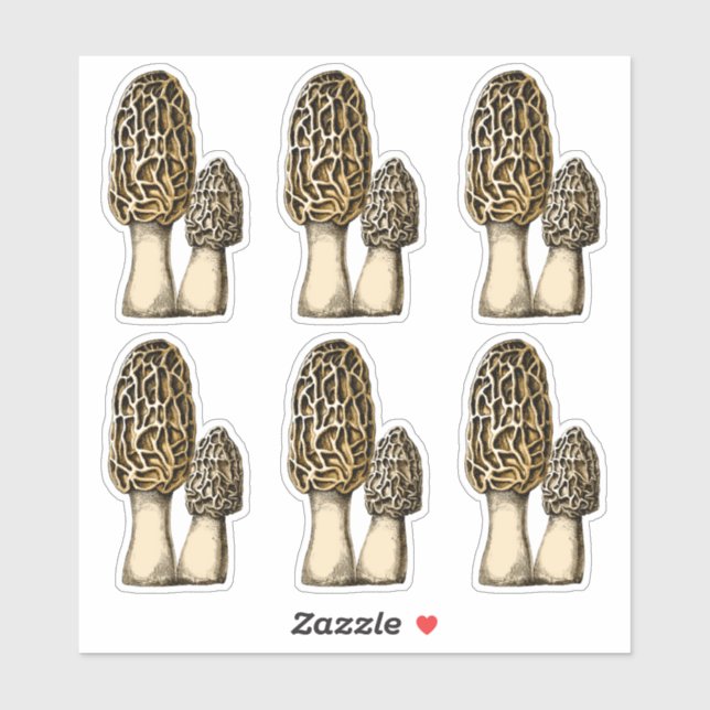 Morel Mushroom Vintage Botanical Illustration (Sheet)