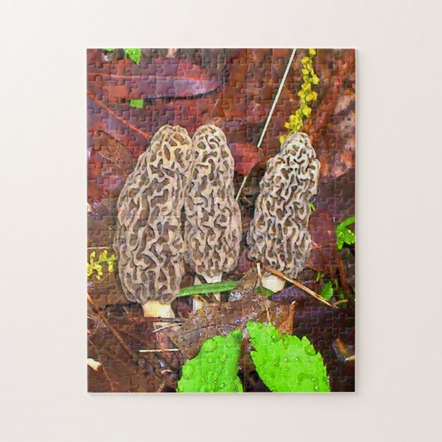 Morel Mushrooms Jigsaw Puzzle (Vertical)