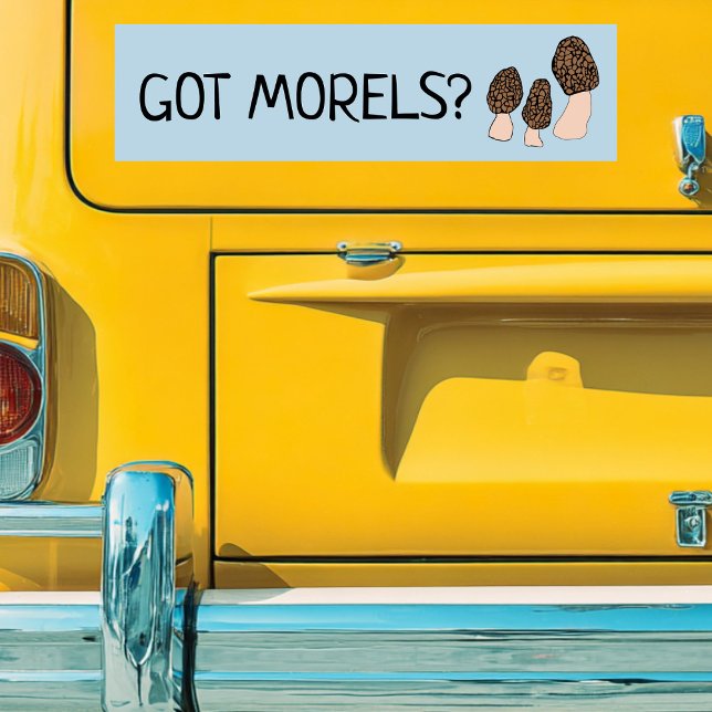 Morels Mushrooms Fun Fungi CUSTOMIZE IT  Bumper Sticker (GOT Morels Funny Pun Mushrooms Fun Fungi CUSTOMIZE IT Bumper Sticker
)