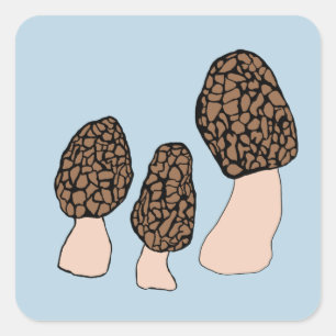 Morels Mushrooms Fun Fungi CUSTOMIZE IT Square Sticker