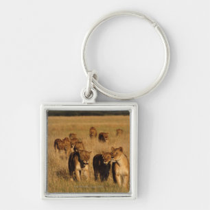 Moremi Wildlife Reserve, Botswana Key Ring
