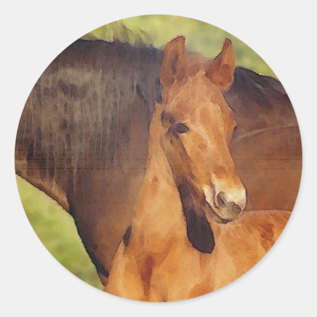 Morgan foal sticker (Front)