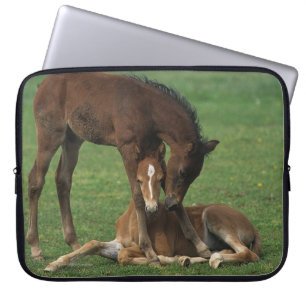 Morgan Foals Playing Laptop Sleeve