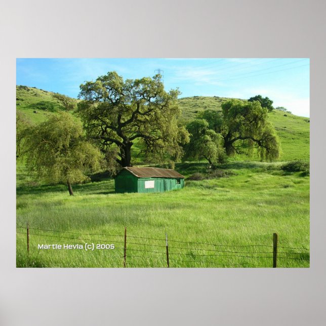 Morgan Hill Meadow Poster (Front)