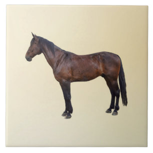 Morgan Horse in Profile Tile